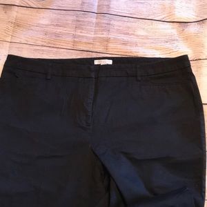 Women’s black, tall boot cut pants.